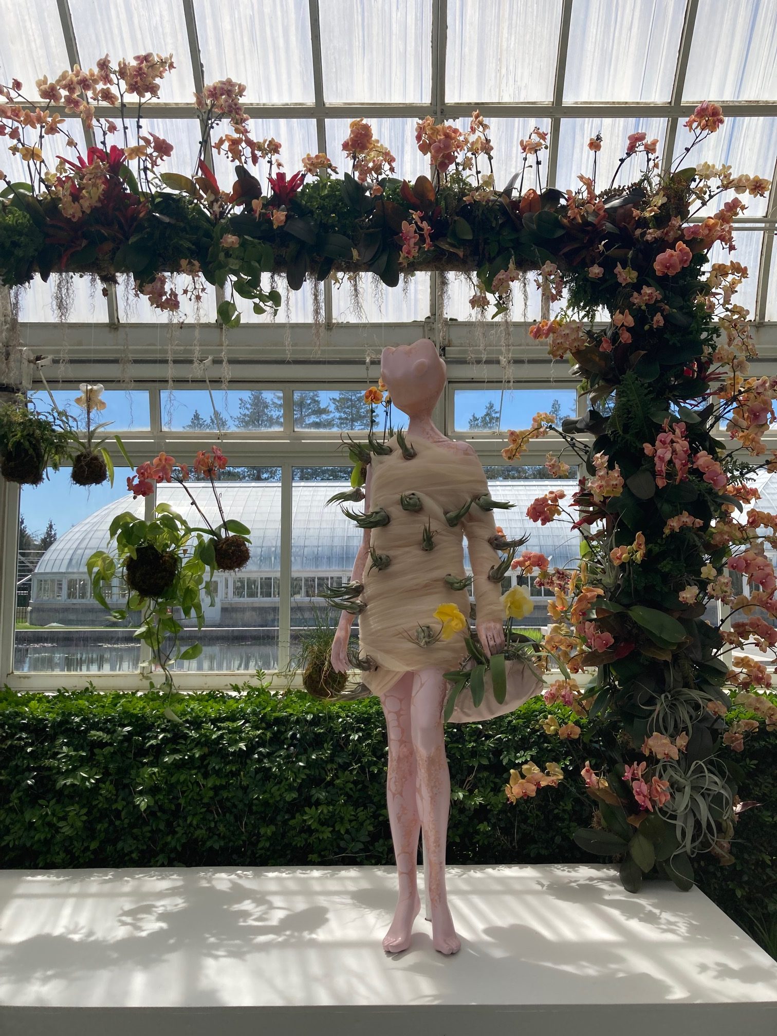 Art Appreciation Tours Program by Sizzle Arts Attends: The Orchid Show – Florals in Fashion — photo 13