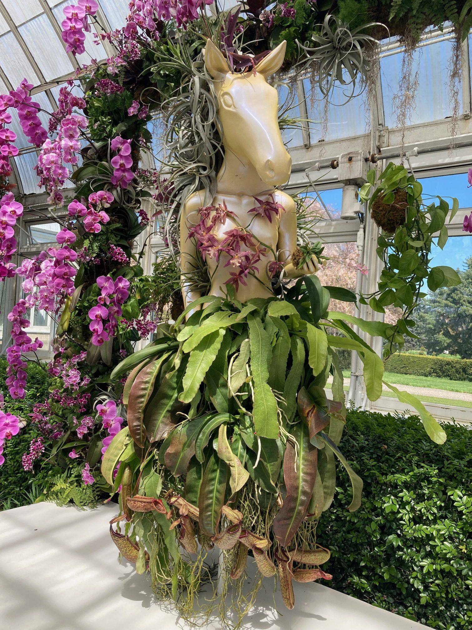 Art Appreciation Tours Program by Sizzle Arts Attends: The Orchid Show – Florals in Fashion — photo 16